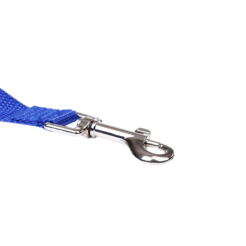 Long Obedience Recall Training Leash