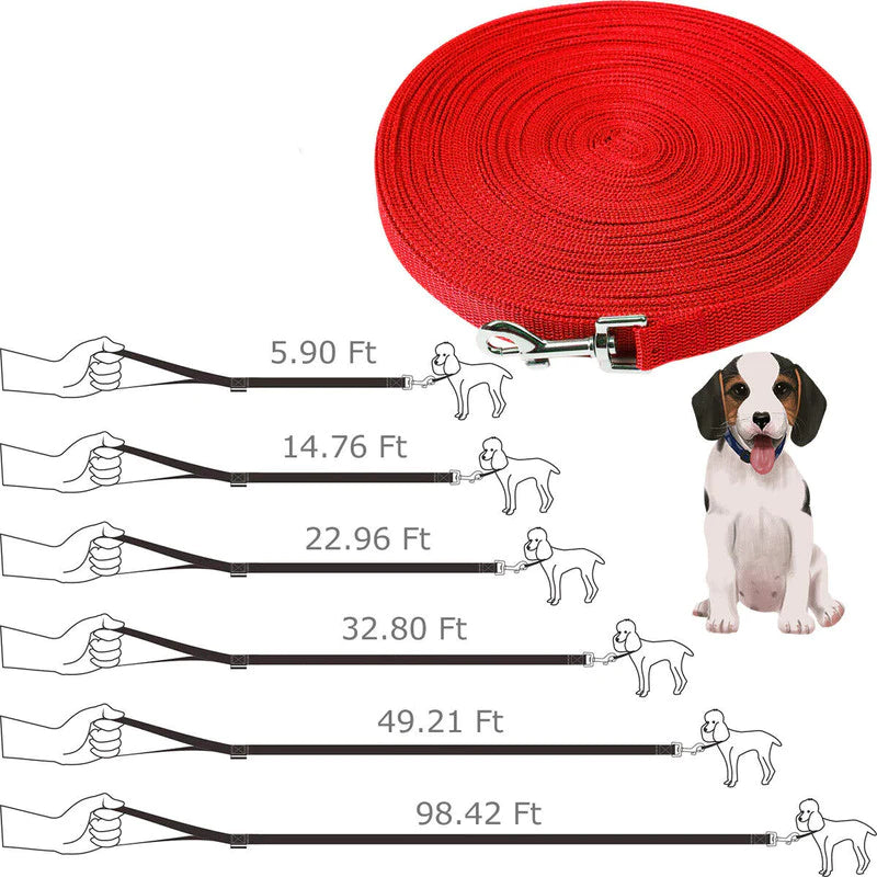 Long Obedience Recall Training Leash