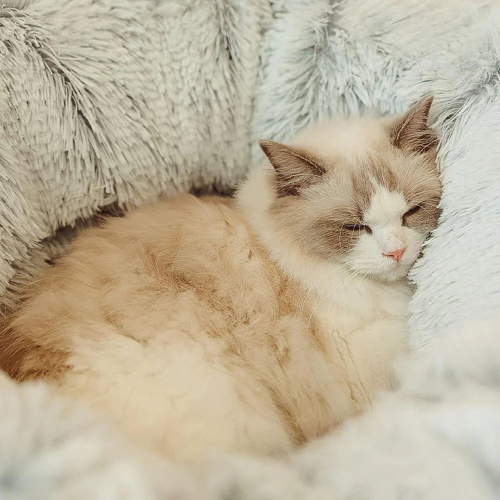 Large Cat Tunnel Bed 