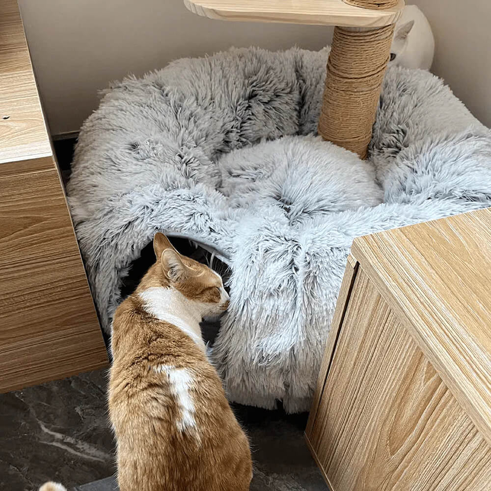 Large Cat Tunnel Bed 